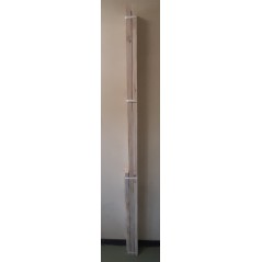 Doorframe Pine 50x102 U Ss, SA WINDOWS - Cashbuild