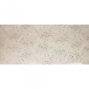 PVC Ceiling 30cm X 3,9M Silve Dot, AFRICANO - Cashbuild