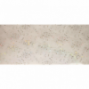 PVC Ceiling 30cm X 3,9M Silve Dot, AFRICANO - Cashbuild