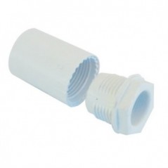 Female Adaptor Sabs Pvc 20mm Quantity:2