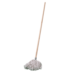 Mop And Handle W2