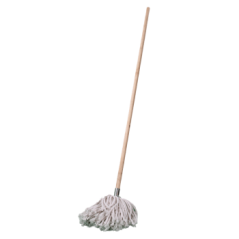 Mop And Handle W4