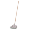 Mop And Handle W4