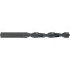 Drill Bit Hss Standard 10mm 1/card,  - Cashbuild