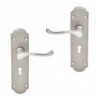 Door Handle, Victorian Gable Plate