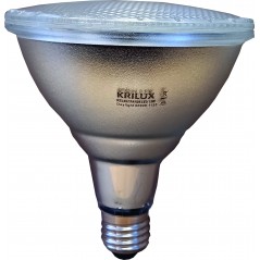 LED Par 38 15w 60°e27 6000k (daylight) Ip65 Globe,  - Cashbuild