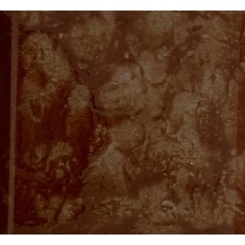 Glazed Window Cill 150x150,  - Cashbuild