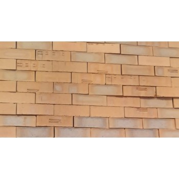 Brick Capricornsatin Fbs,  - Cashbuild