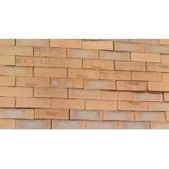 Brick Capricornsatin Fbs,  - Cashbuild