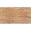 Brick Capricornsatin Fbs,  - Cashbuild