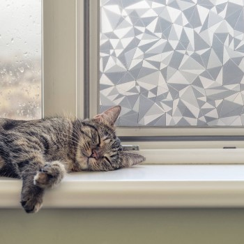 Window Frosting Geometric 2m