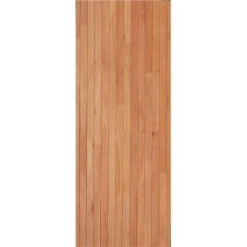 Saligna Solidor Laminated Full Exterior Door