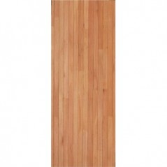 Saligna Solidor Laminated Full Exterior Door