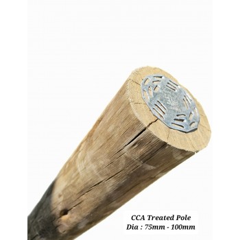 Gumpole CCA H4 75/100 3.0m,  - Cashbuild