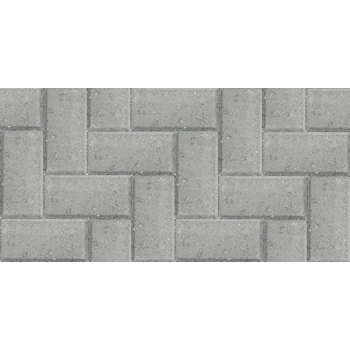 Paver Grey Bevel 200X100X55,  - Cashbuild