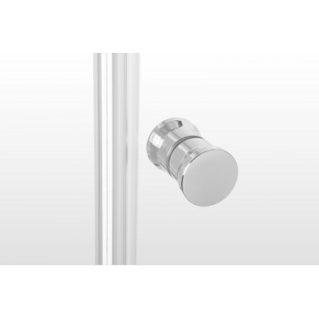 Entrée Shower Door Pivot And Return Panel Chrome 880x880x1850mm, ENTRÉE - Cashbuild