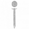Eureka Nail Clout Galvanised 25mm Quantity:60G, EUREKA - Cashbuild