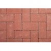 Paver Cement Bevel Red