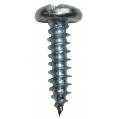 Eureka Self Tapper 4.0X38mm Quanitity:20, EUREKA - Cashbuild