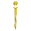 Eureka Wood Screw 4.5X 40mm Quanitity:50, EUREKA - Cashbuild