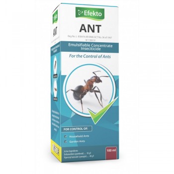 Efekto Ant 100ml, Efekto - Cashbuild