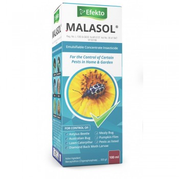 Efekto Malasol 100ml, Efekto - Cashbuild