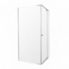 Entrée Shower Door Pivot And Return Panel Chrome 880x880x1850mm, ENTRÉE - Cashbuild