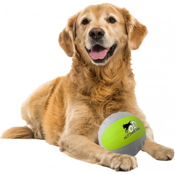 Outdoor Mini Foam Dog Ball, AFP - Cashbuild
