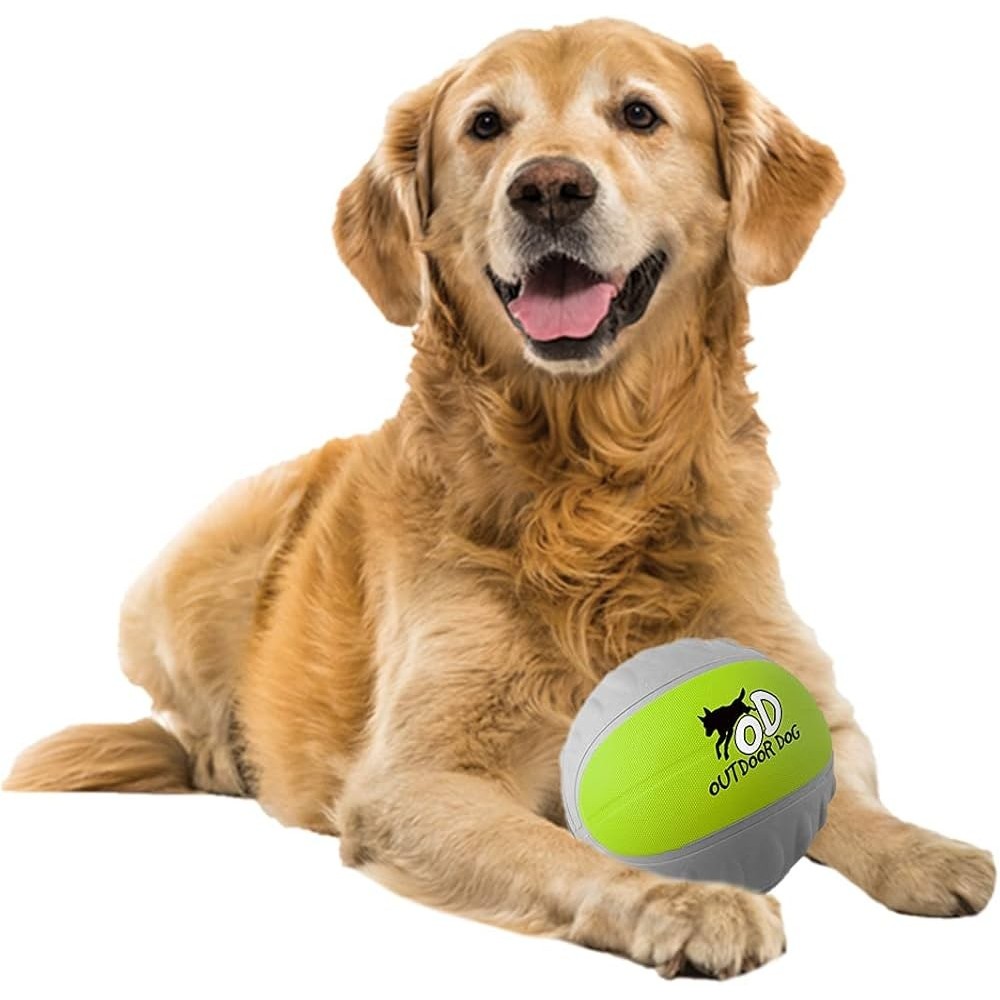 Outdoor Mini Foam Dog Ball, AFP - Cashbuild Outdoor Mini Foam Dog Ball, AFP - Cashbuild