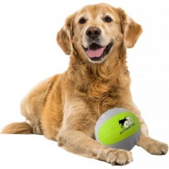 Outdoor Mini Foam Dog Ball, AFP - Cashbuild