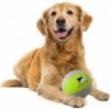 Outdoor Mini Foam Dog Ball, AFP - Cashbuild