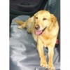 Professional Pet Car Seat Cover, Pawise - Cashbuild