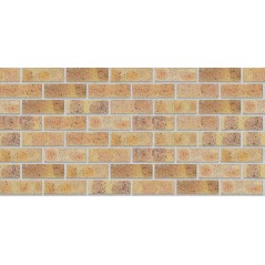 Face Brick Nebraska Light,  - Cashbuild