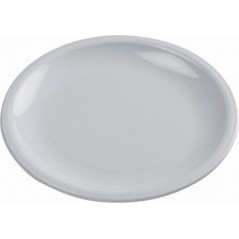 Lesuirequip Melamine Dinner Plate 25cm, LEISUREQUIP (ACADAMY) - Cashbuild