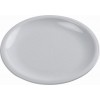 Lesuirequip Melamine Dinner Plate 25cm, LEISUREQUIP (ACADAMY) - Cashbuild