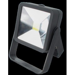 Lesuirequip Worklight Cob With Swivel 200 Lumen, LEISUREQUIP (ACADAMY) - Cashbuild