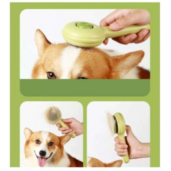 Pawise Pet Grooming Slicker Brush, Pawise - Cashbuild