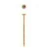 Chipboard Pozzi Screw 5 X 75mm Quantity:30, EUREKA - Cashbuild
