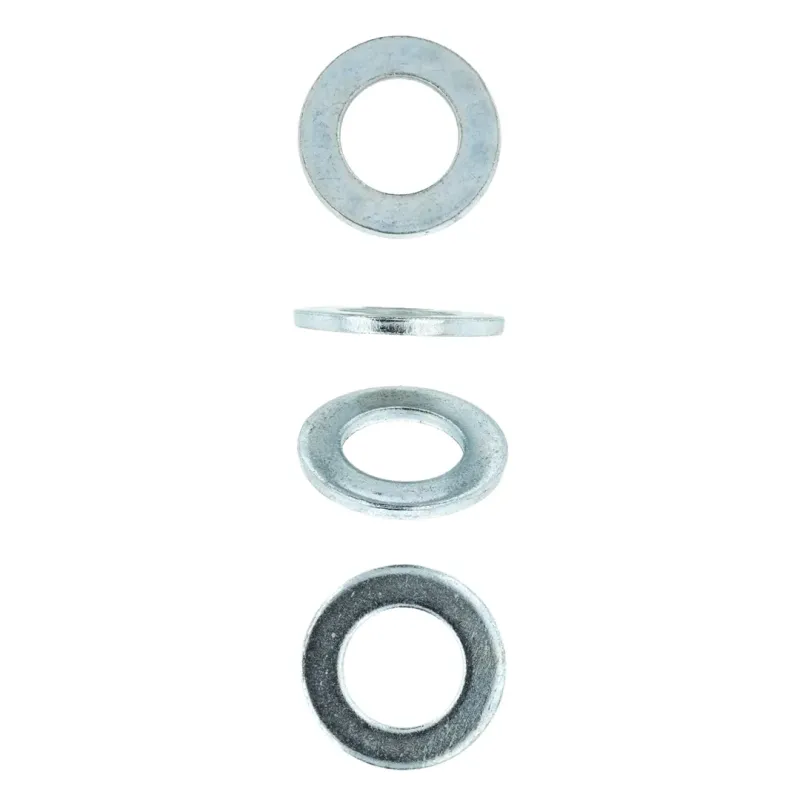 Eureka Washer Flat Small Zp 20mm Quantity:15, EUREKA - Cashbuild Eureka Washer Flat Small Zp 20mm Quantity:15, EUREKA - Cashbuild