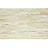Cladding Sandstone Riven 40mm