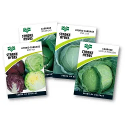 Seed Cabbage 0.5G,  - Cashbuild