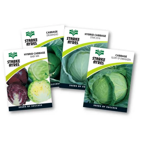Seed Cabbage 0.5G,  - Cashbuild