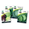 Seed Cabbage 0.5G,  - Cashbuild