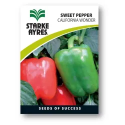 Seed Pepper 0.5G,  - Cashbuild