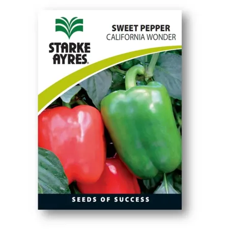 Seed Pepper 0.5G,  - Cashbuild