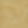 FLOOR TILE FLASHGOLD 350X350 2m2,  - Cashbuild