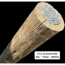 Gumpole Creosote 75/100 1.8M,  - Cashbuild