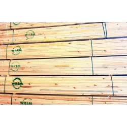Structural Timber SABS Untreated 38X50 4.8M,  - Cashbuild