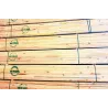 Structural Timber SABS Untreated 38X50 4.8M,  - Cashbuild