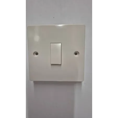 Switch 1Level 2Way 10Amp Flush Watford